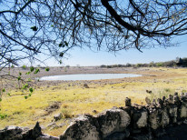 original IMG 2315