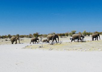 Bild Namibia - Wanderrundreise in Afrika Reisebericht